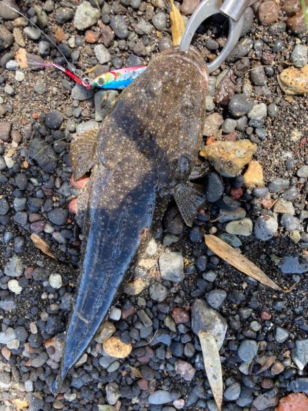 灼熱サーフフィッシング