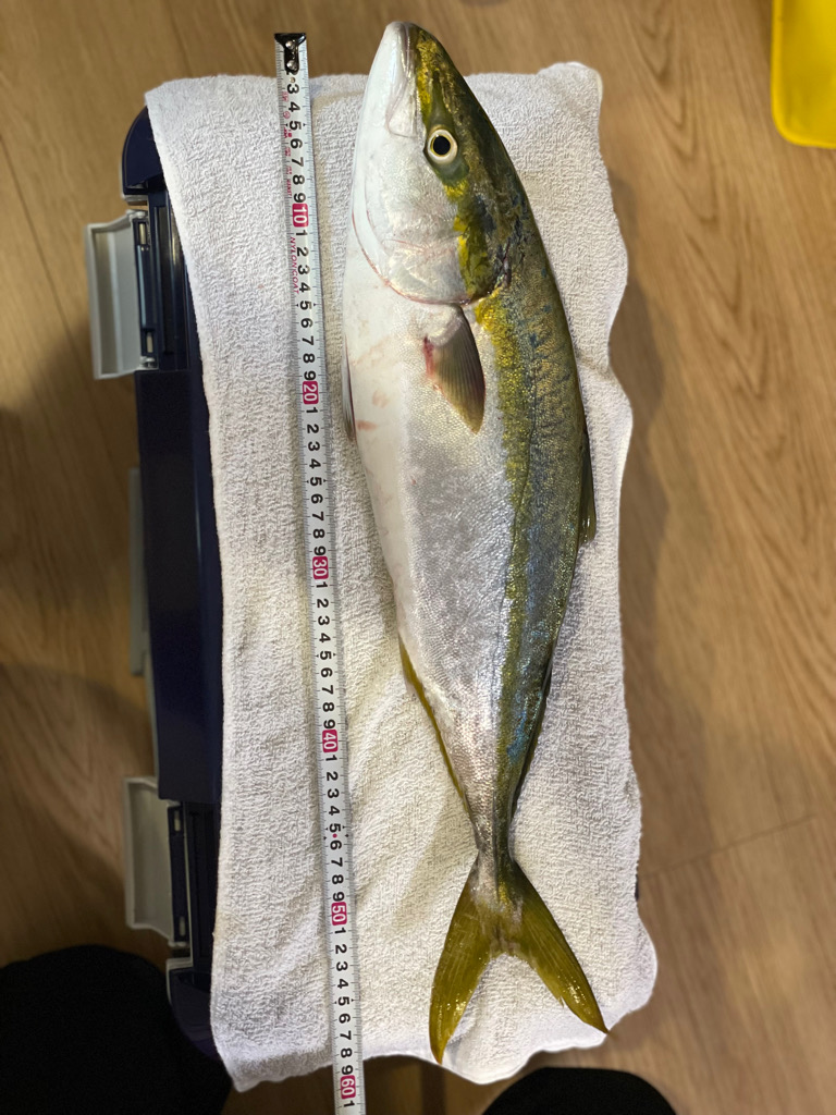 アジュール舞子で