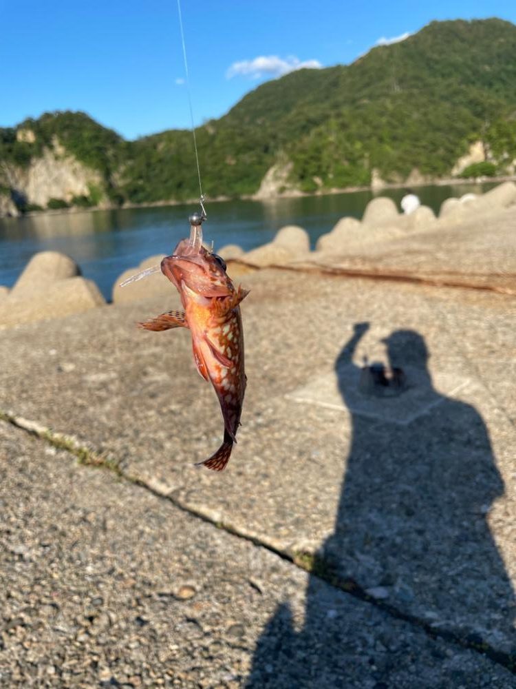 ナイトアジング