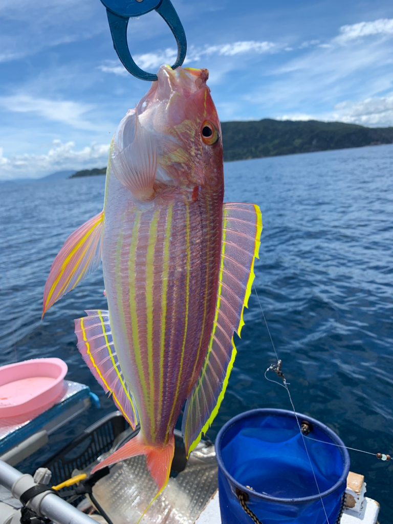 マイボートでアマダイ狙い。