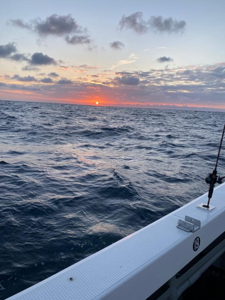 敦賀イカメタル