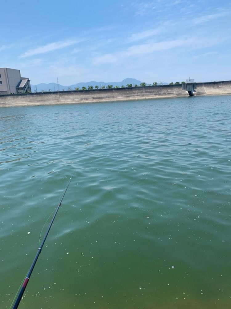 久し振りのフカセ