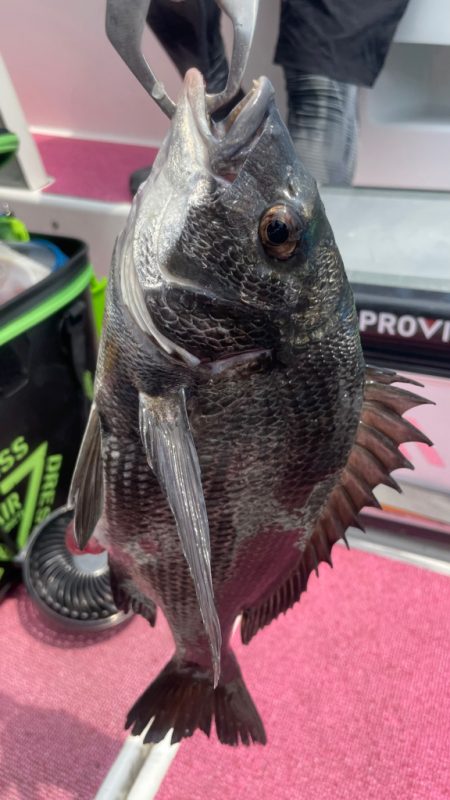 暑いわ　渋いわ（涙）