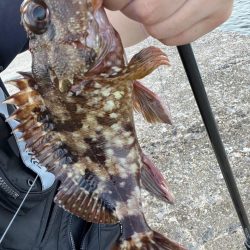 パターン掴めず