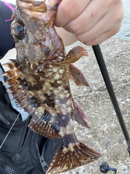 パターン掴めず