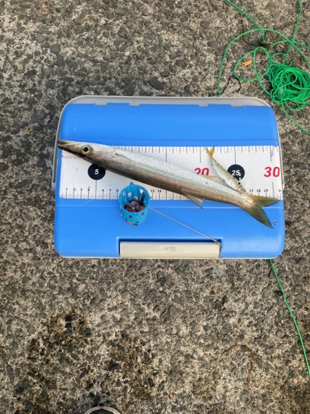 やはり日本海は、凄い。