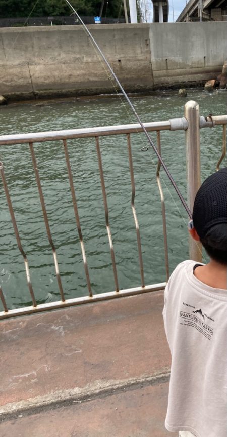 ファミリーフィッシング