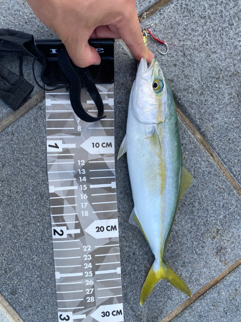 和歌山ショアジギ