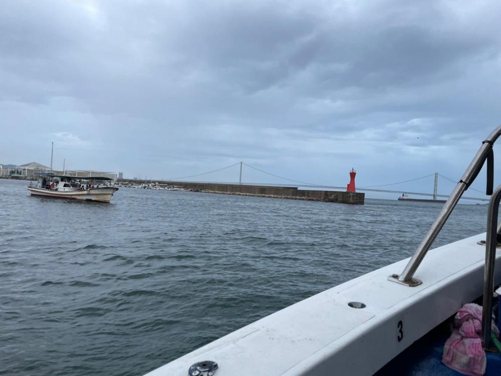 明石タコ　釣果は朝に集中