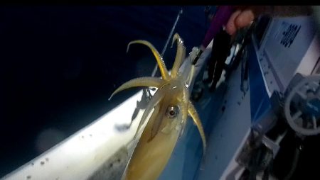 境港イカメタル リベンジ！