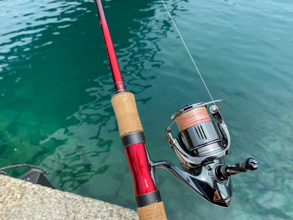 ファミリーフィッシング