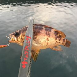 マイクロジギング