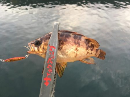 マイクロジギング