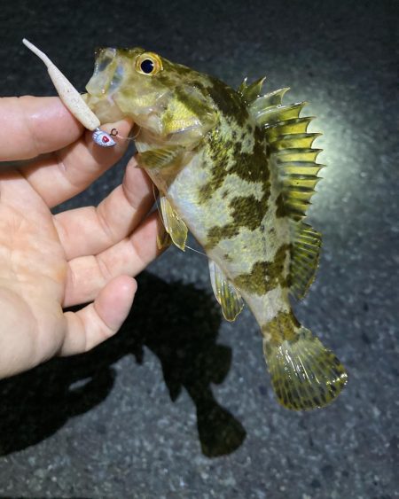 お手軽ライトゲーム