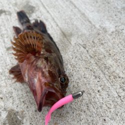 爆風ライトゲーム