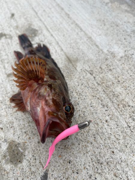 爆風ライトゲーム