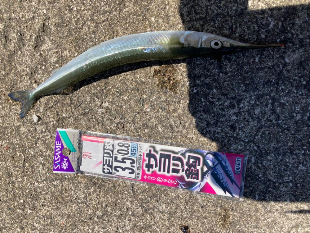 サヨリのちタコ