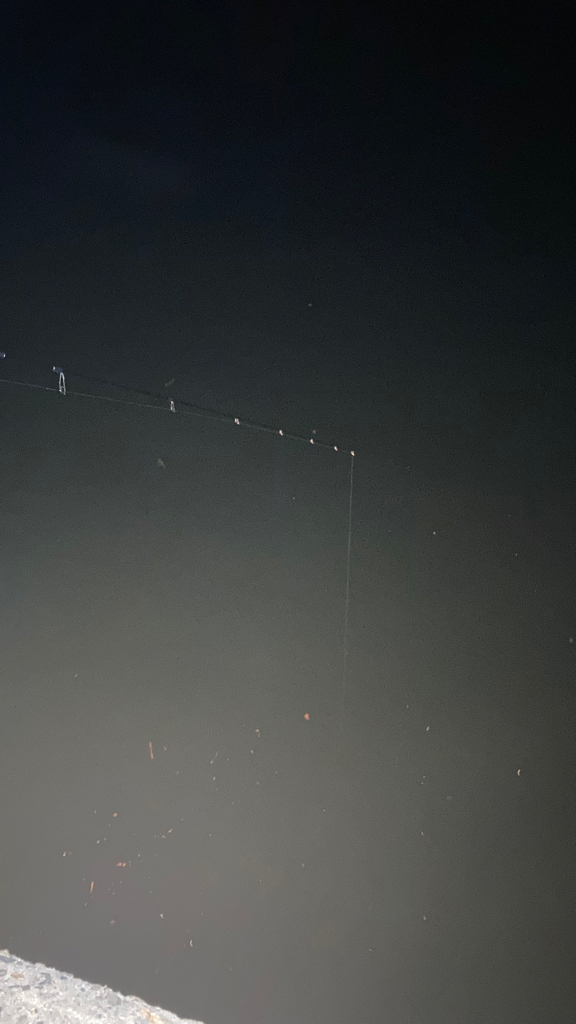 ヒイカエギング