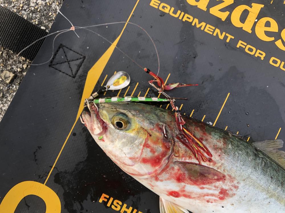 久しぶりにホームへ