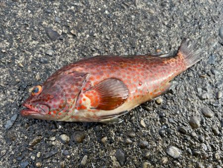 久しぶりの南紀！