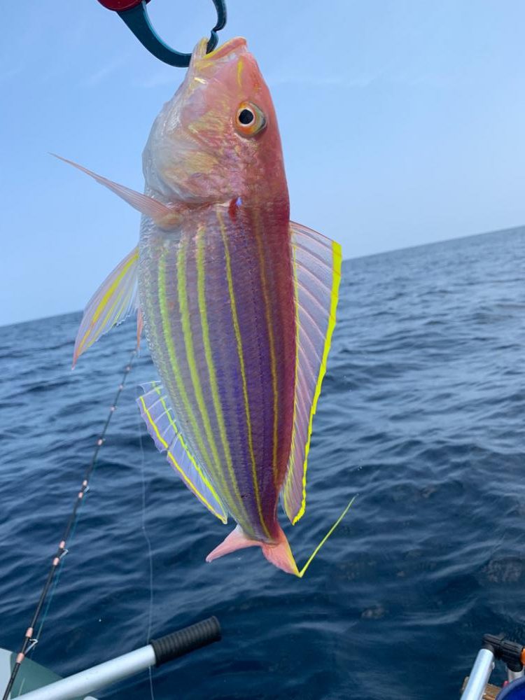 マイボートでアマダイ釣り