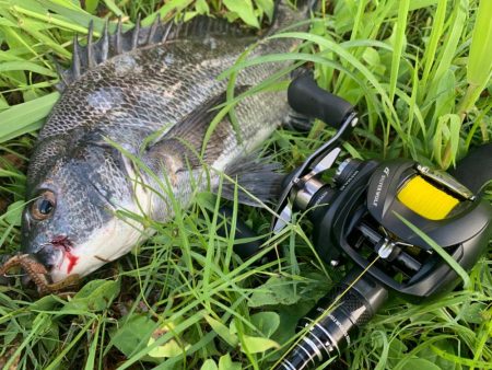 チニング開拓者