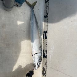 雨予報のマイボート釣行