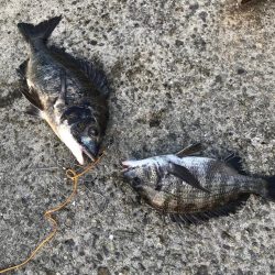 朝活！高活性！