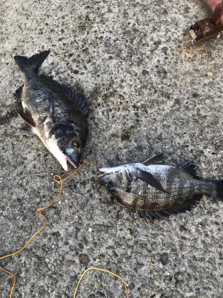 朝活！高活性！