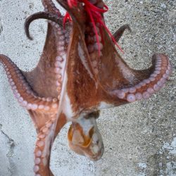 昨日とは打って変わって。