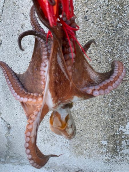 昨日とは打って変わって。