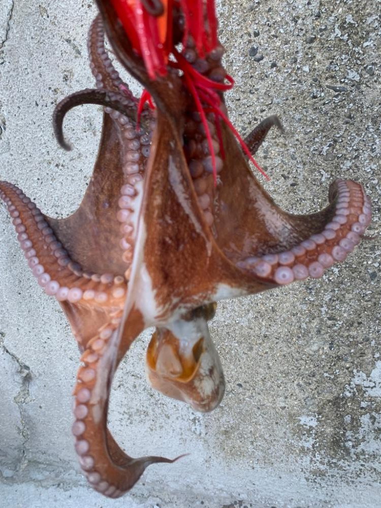 昨日とは打って変わって。