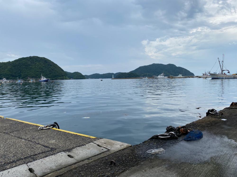 激渋イカメタル