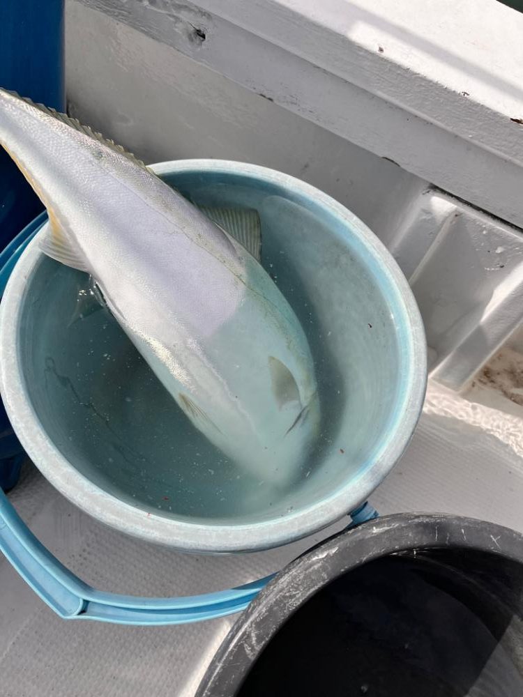 スーパーライトジギング