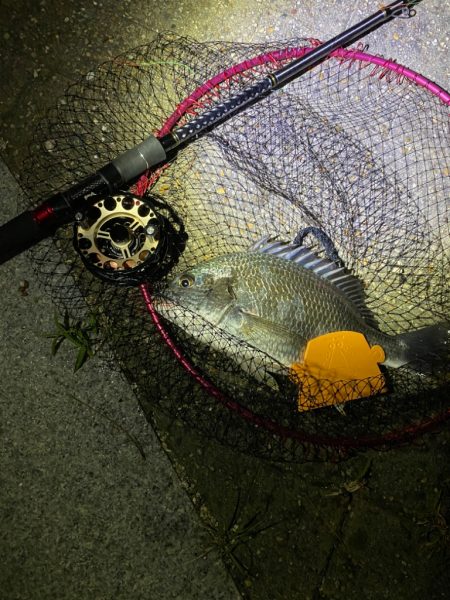 ヘチってきました