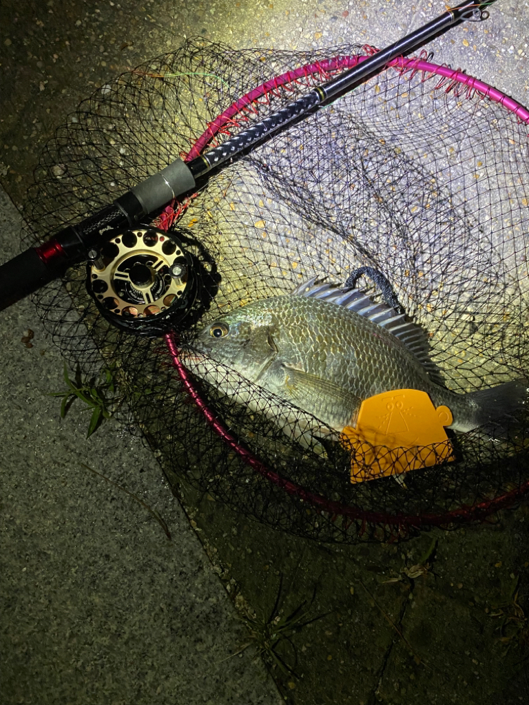 ヘチってきました