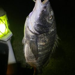 ヘチってきました