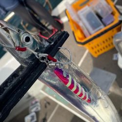 タチウオジギング