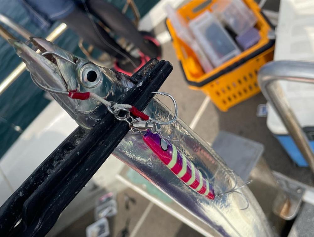 タチウオジギング