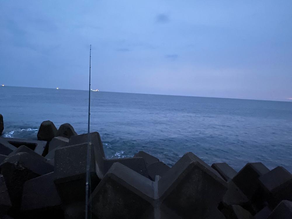 夕？夜マヅメかな。