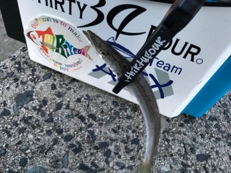 自宅と反対方向🚗