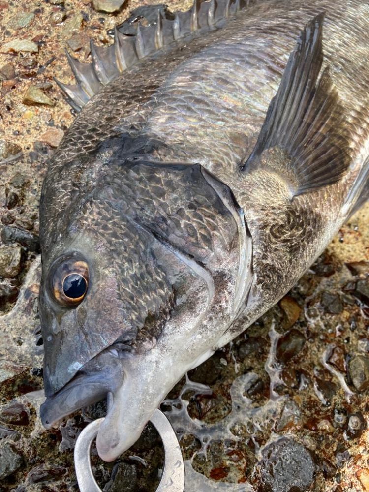 オーバーザレインボー