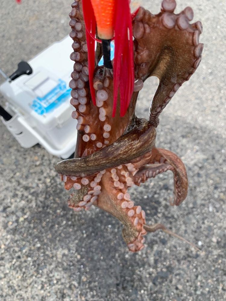 今日も渋い中、何とか！