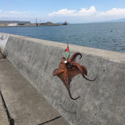 移動すること3ヶ所目でようやくゲット