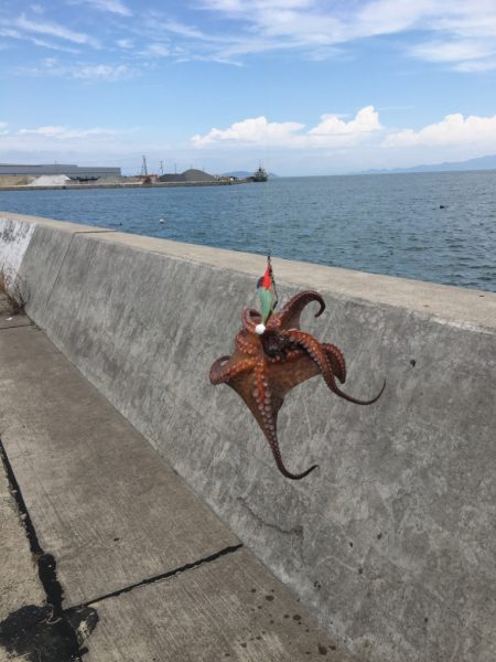 移動すること3ヶ所目でようやくゲット