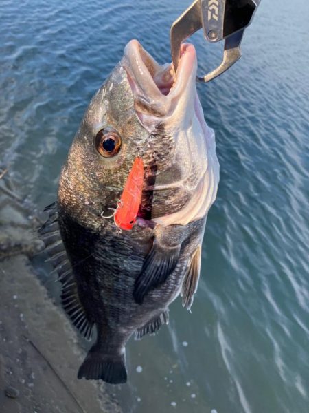 トップチニング 最盛期