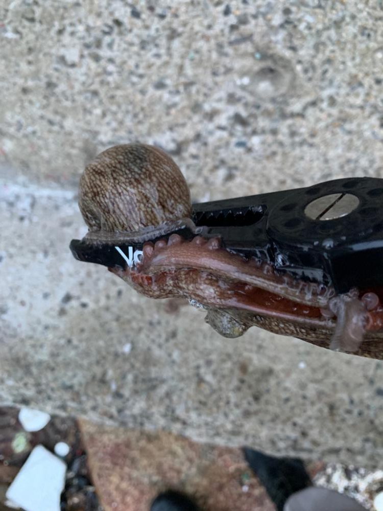 続く週末の激渋。