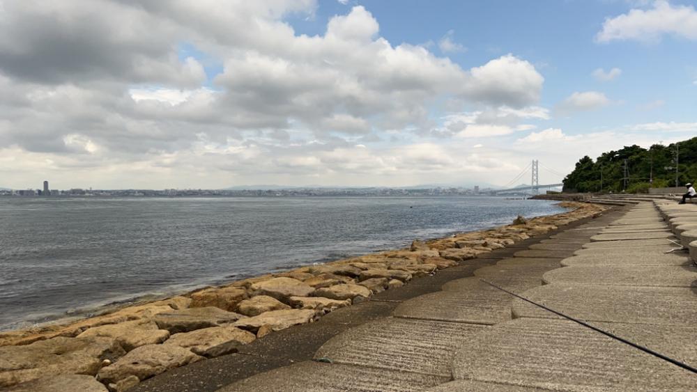 ショアジギング