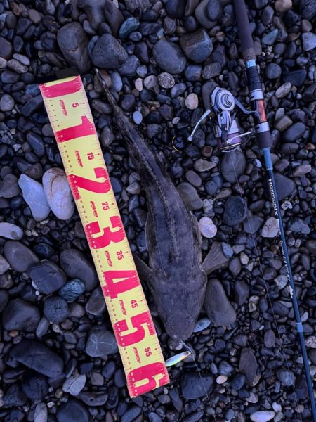 ジャックアイマキマキで良型マゴチ！