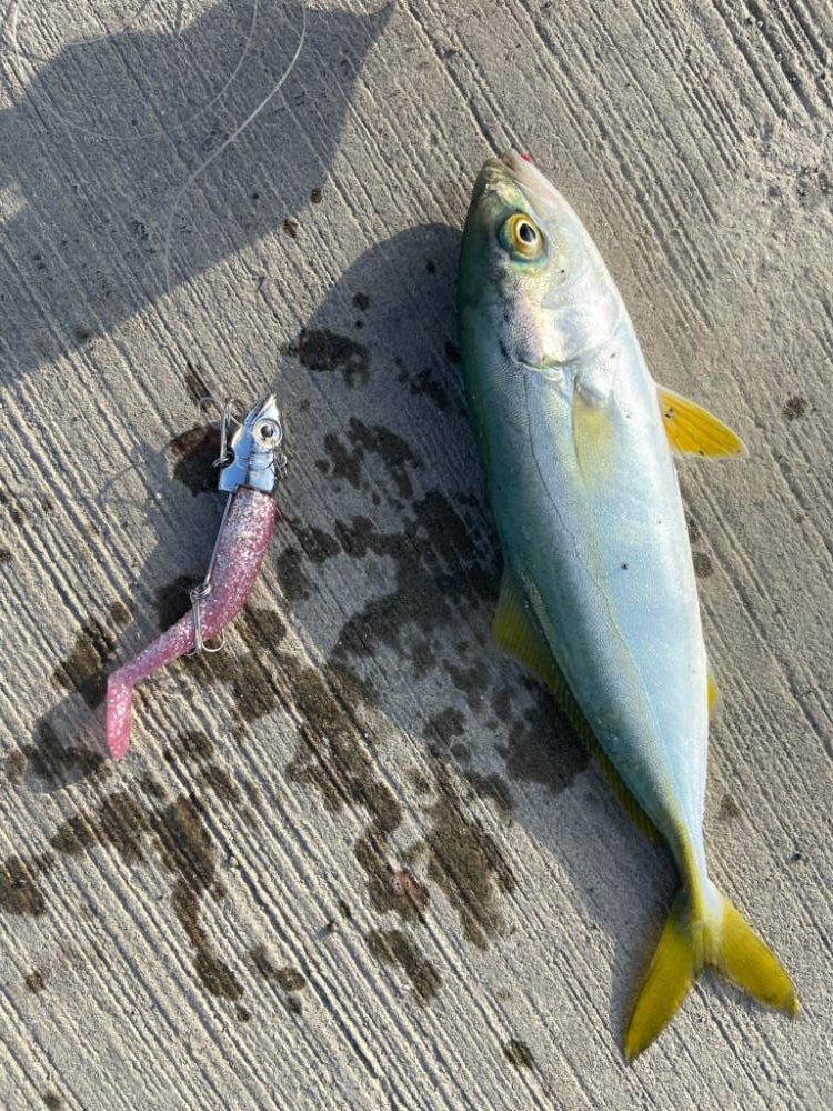 親子ライトショアジギング